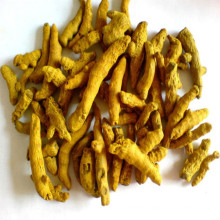 Natural brown turmeric